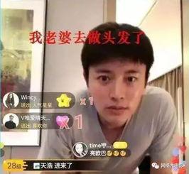 娱乐圈系统吃瓜电视剧,瓜田李下，明星们的甜蜜苦涩