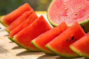 在娱乐公司上班吃瓜